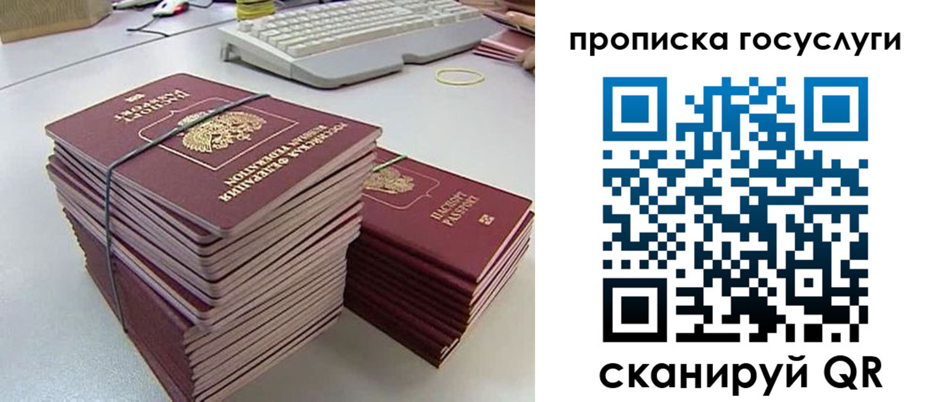 временная регистрация для школы в Тихорецке